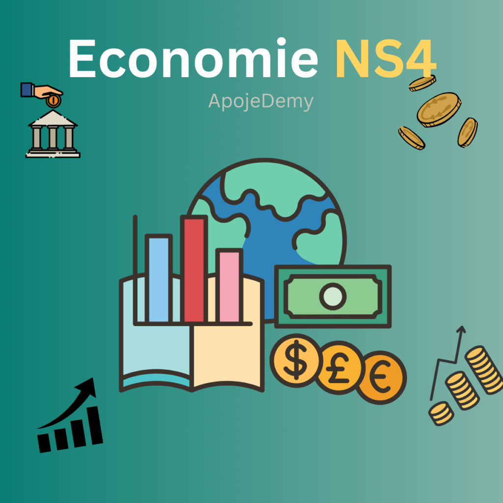 Economie NS4