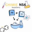 CHIMIE NS4